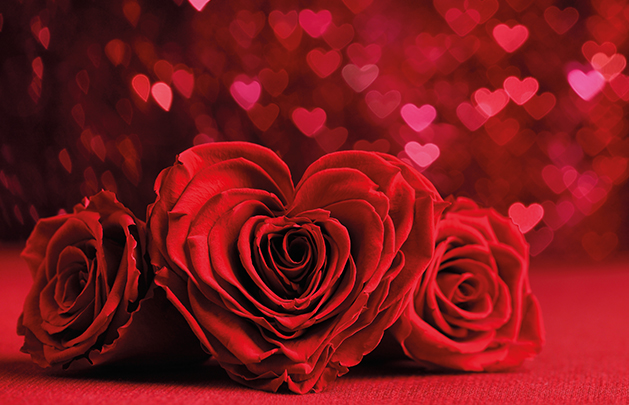 Valentines Blog